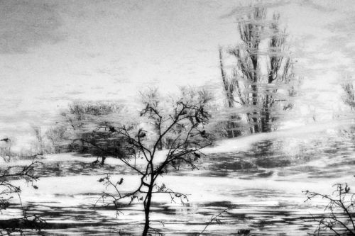Reflection In Icey Water 02